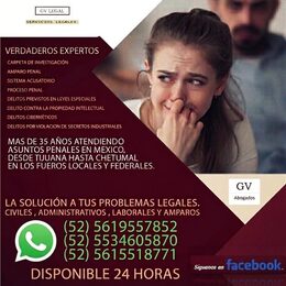 Expertos en Derecho Penal